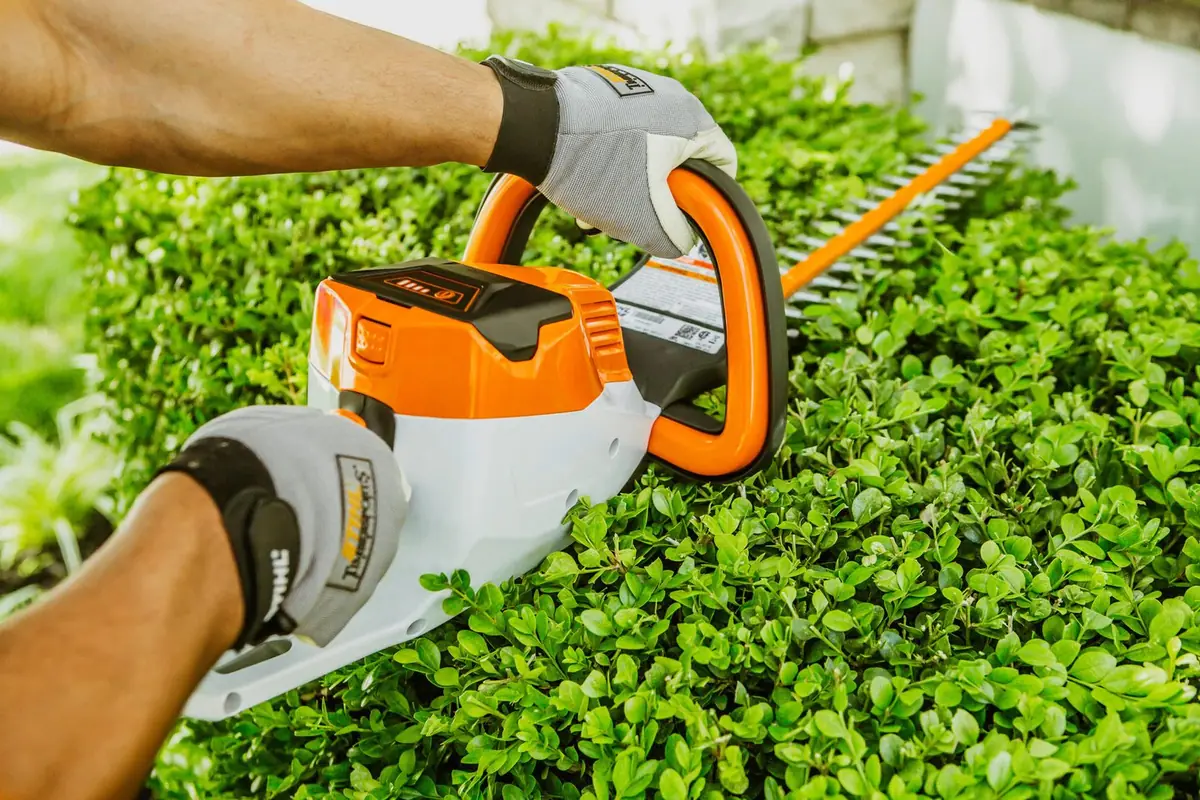 Neatly trimmed hedges and garden beds
